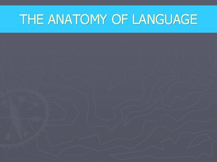 THE ANATOMY OF LANGUAGE 