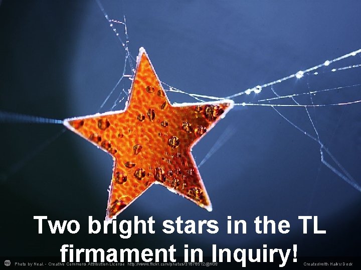 Two bright stars in the TL firmament in Inquiry! Photo by Neal. - Creative