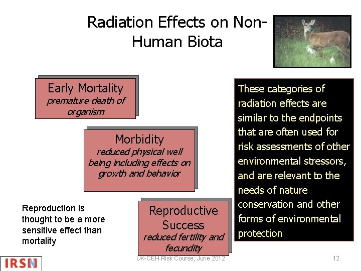 Radiation Effects on Non. Human Biota Early Mortality premature death of organism Morbidity reduced