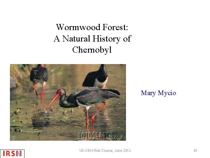 Wormwood Forest: A Natural History of Chernobyl Mary Mycio UK-CEH Risk Course; June 2012