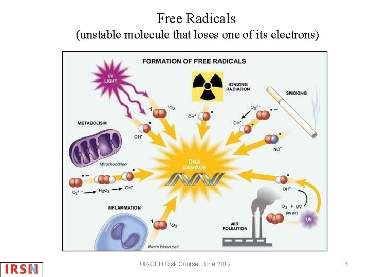 Free Radicals (unstable molecule that loses one of its electrons) UK-CEH Risk Course; June