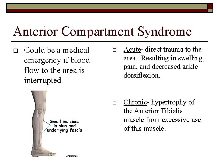 Anterior Compartment Syndrome o Could be a medical emergency if blood flow to the