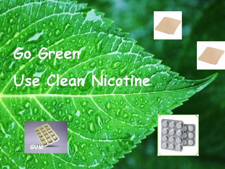 PATCH Go Green Use Clean Nicotine GUM LOZENGES 