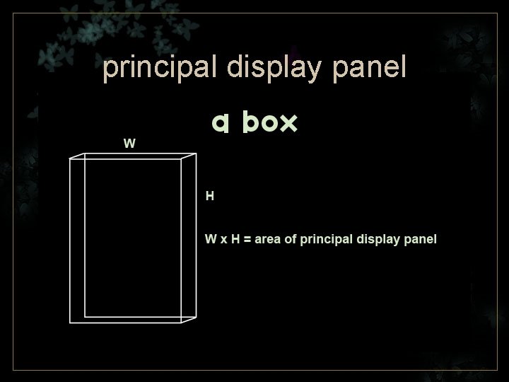 principal display panel 