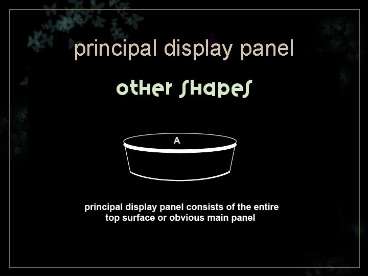 principal display panel 