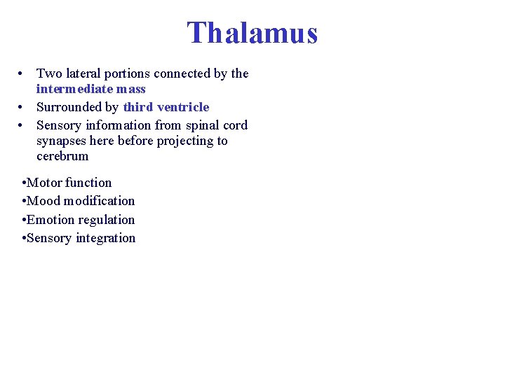 Thalamus • Two lateral portions connected by the intermediate mass • Surrounded by third Thalamus • Two lateral portions connected by the intermediate mass • Surrounded by third