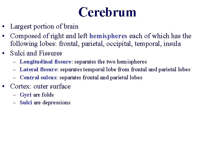 Cerebrum • Largest portion of brain • Composed of right and left hemispheres each Cerebrum • Largest portion of brain • Composed of right and left hemispheres each