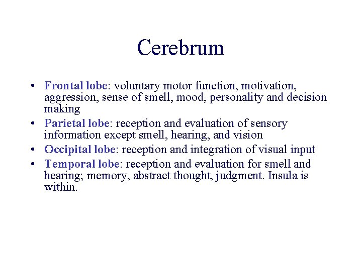 Cerebrum • Frontal lobe: voluntary motor function, motivation, aggression, sense of smell, mood, personality Cerebrum • Frontal lobe: voluntary motor function, motivation, aggression, sense of smell, mood, personality