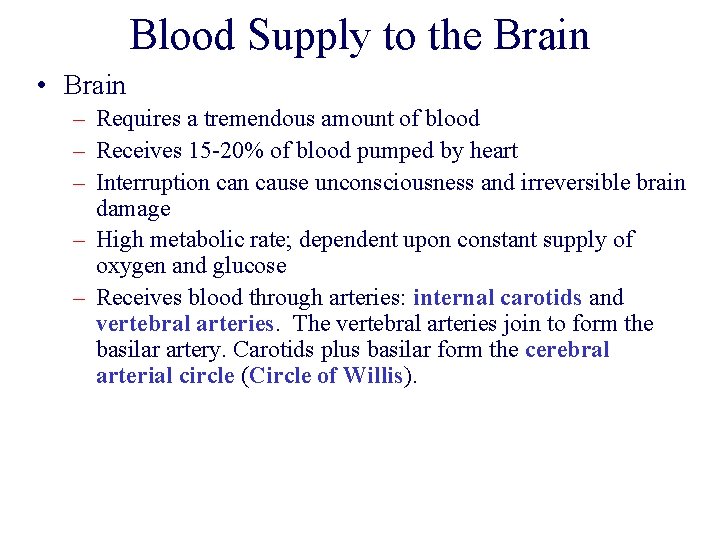 Blood Supply to the Brain • Brain – Requires a tremendous amount of blood Blood Supply to the Brain • Brain – Requires a tremendous amount of blood