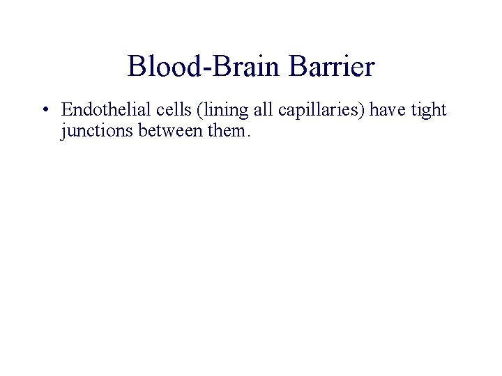 Blood-Brain Barrier • Endothelial cells (lining all capillaries) have tight junctions between them. Blood-Brain Barrier • Endothelial cells (lining all capillaries) have tight junctions between them.