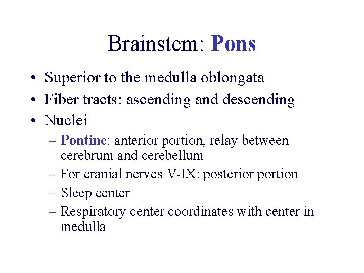 Brainstem: Pons • Superior to the medulla oblongata • Fiber tracts: ascending and descending Brainstem: Pons • Superior to the medulla oblongata • Fiber tracts: ascending and descending