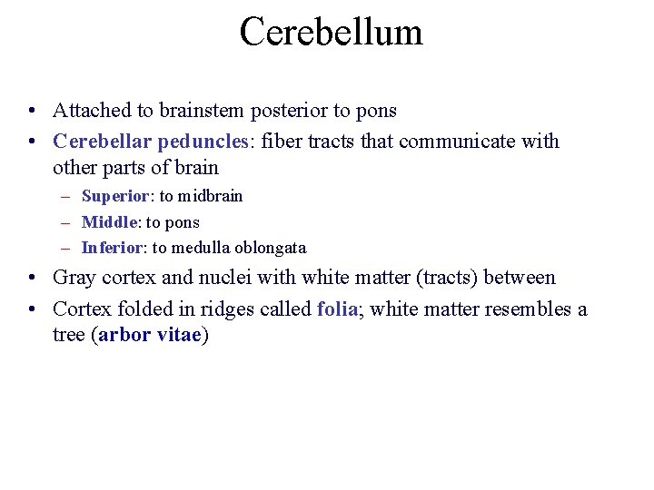 Cerebellum • Attached to brainstem posterior to pons • Cerebellar peduncles: fiber tracts that Cerebellum • Attached to brainstem posterior to pons • Cerebellar peduncles: fiber tracts that