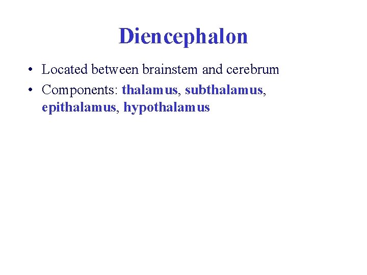 Diencephalon • Located between brainstem and cerebrum • Components: thalamus, subthalamus, epithalamus, hypothalamus Diencephalon • Located between brainstem and cerebrum • Components: thalamus, subthalamus, epithalamus, hypothalamus