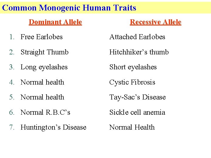Common Monogenic Human Traits Dominant Allele Recessive Allele 1. Free Earlobes Attached Earlobes 2.