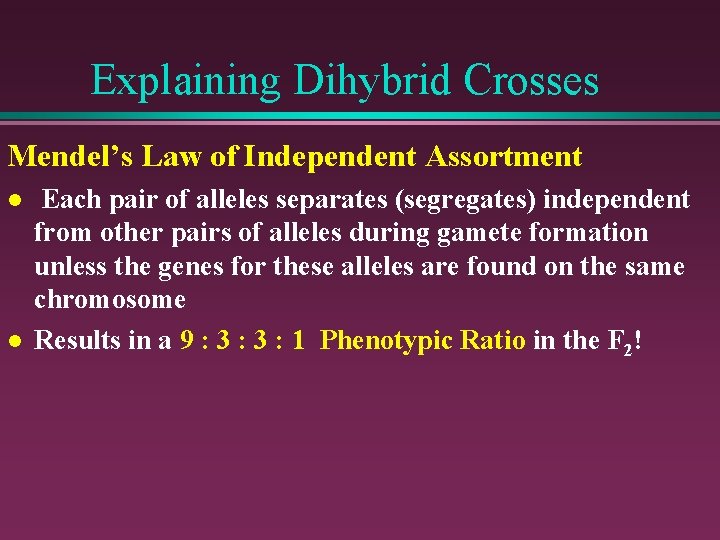 Explaining Dihybrid Crosses Mendel’s Law of Independent Assortment l l Each pair of alleles
