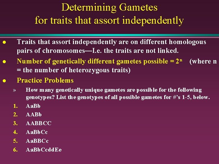 Determining Gametes for traits that assort independently Traits that assort independently are on different