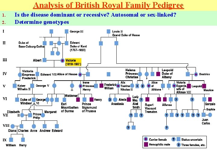 Analysis of British Royal Family Pedigree 1. 2. Is the disease dominant or recessive?