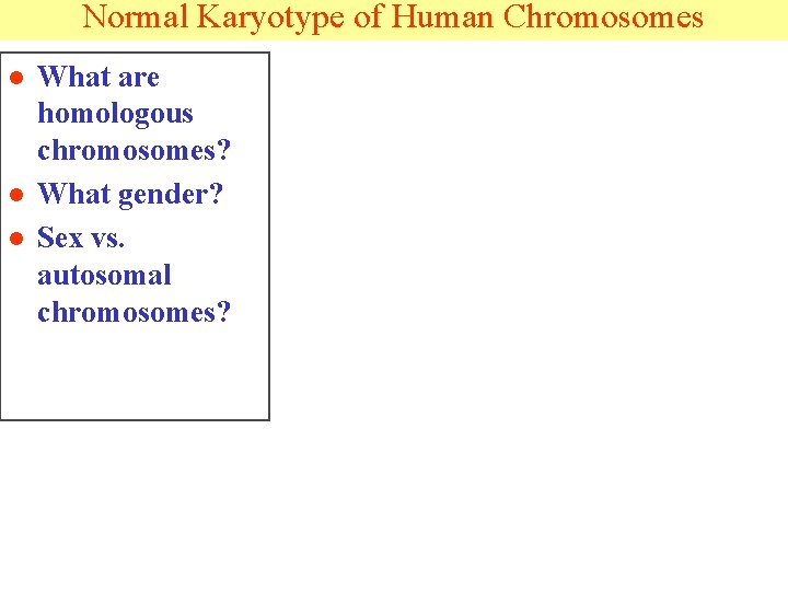 Normal Karyotype of Human Chromosomes l l l What are homologous chromosomes? What gender?