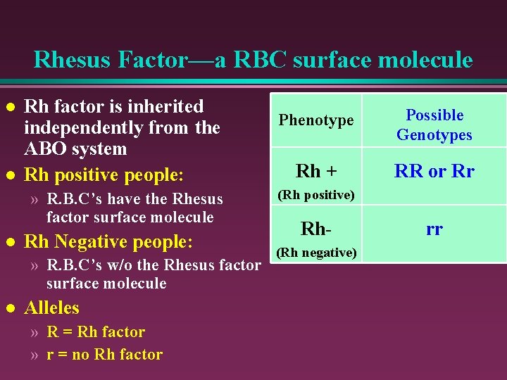Rhesus Factor—a RBC surface molecule l l Rh factor is inherited independently from the