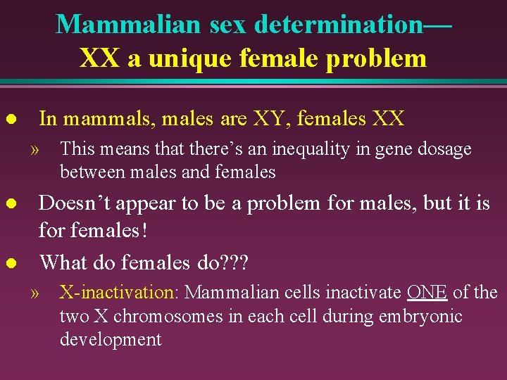 Mammalian sex determination— XX a unique female problem l In mammals, males are XY,