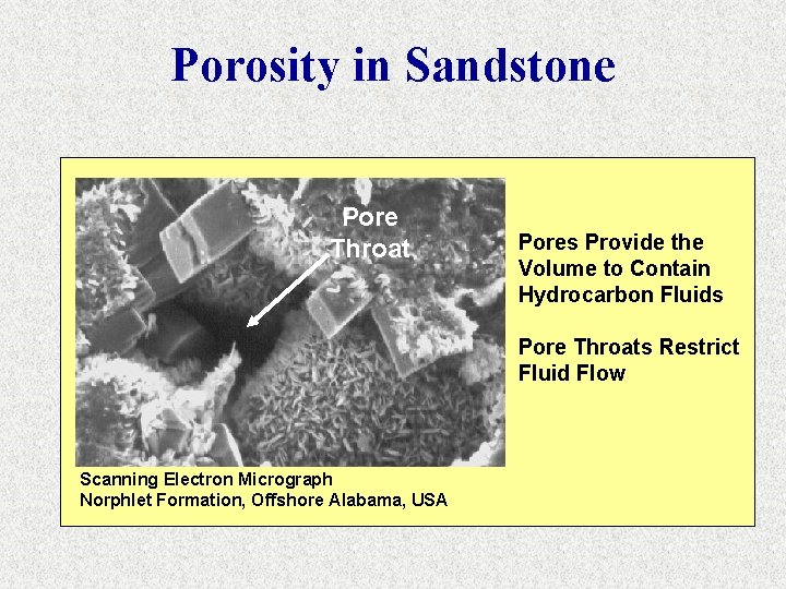 Porosity in Sandstone Pore Throat Pores Provide the Volume to Contain Hydrocarbon Fluids Pore
