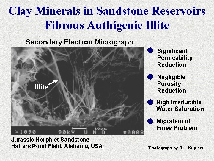 Clay Minerals in Sandstone Reservoirs Fibrous Authigenic Illite Secondary Electron Micrograph Significant Permeability Reduction