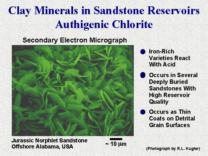Clay Minerals in Sandstone Reservoirs Authigenic Chlorite Secondary Electron Micrograph Iron-Rich Varieties React With