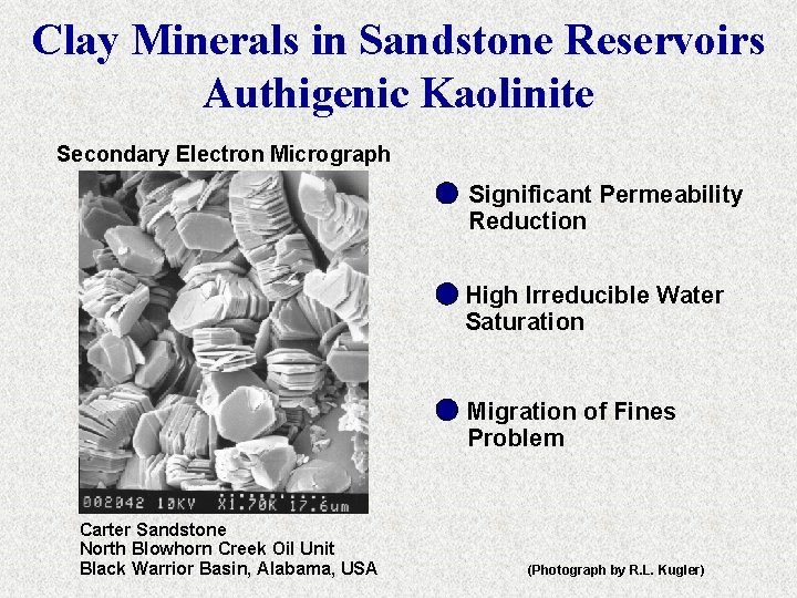 Clay Minerals in Sandstone Reservoirs Authigenic Kaolinite Secondary Electron Micrograph Significant Permeability Reduction High