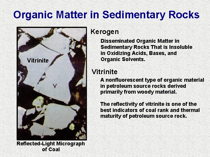 Organic Matter in Sedimentary Rocks Kerogen Vitrinite Disseminated Organic Matter in Sedimentary Rocks That