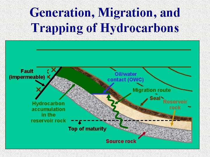 Generation, Migration, and Trapping of Hydrocarbons Fault (impermeable) Oil/water contact (OWC) Migration route Seal