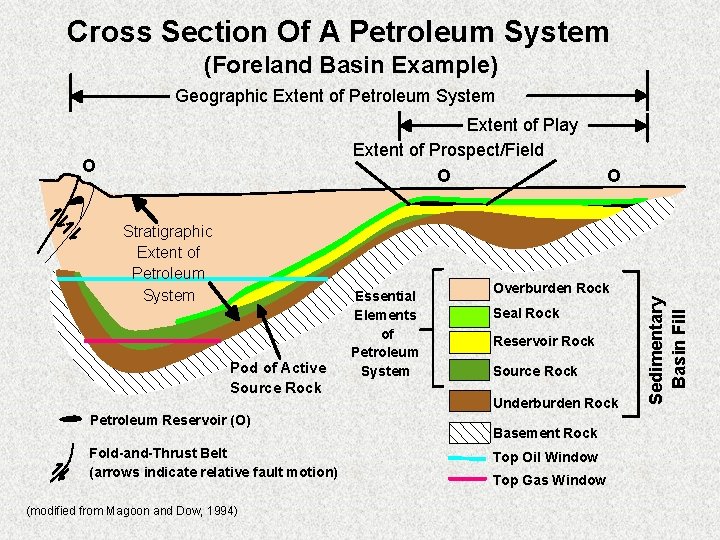 Cross Section Of A Petroleum System (Foreland Basin Example) Geographic Extent of Petroleum System