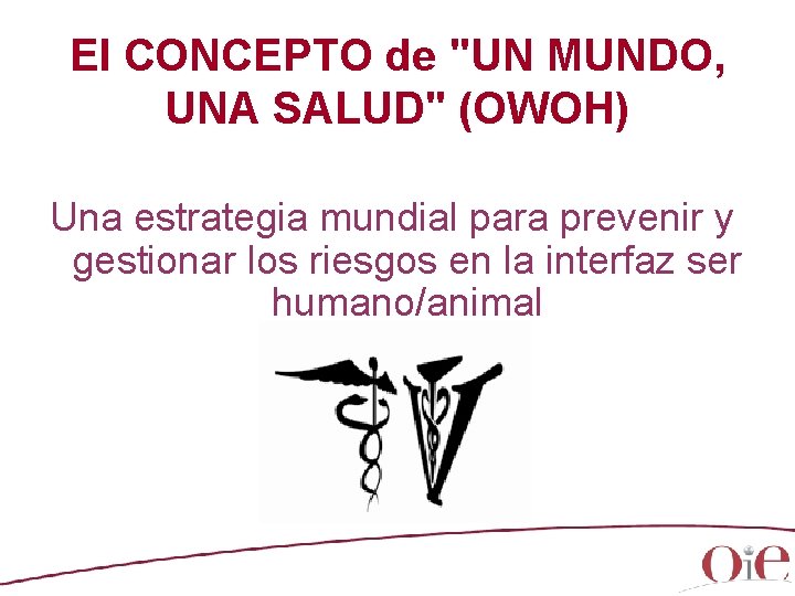 El CONCEPTO de "UN MUNDO, UNA SALUD" (OWOH) Una estrategia mundial para prevenir y