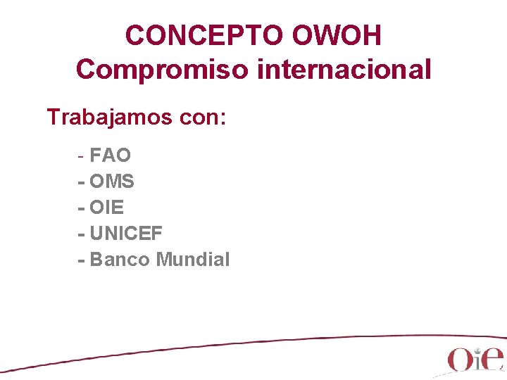 CONCEPTO OWOH Compromiso internacional Trabajamos con: - FAO - OMS - OIE - UNICEF