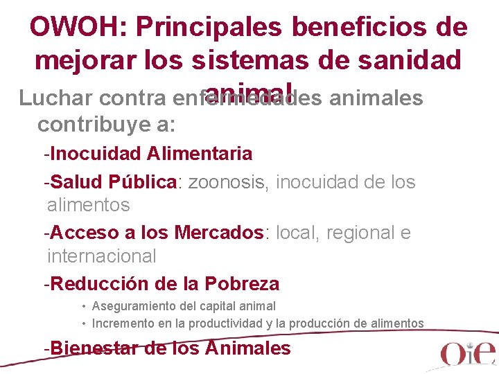 OWOH: Principales beneficios de mejorar los sistemas de sanidad animales Luchar contra enfermedades contribuye