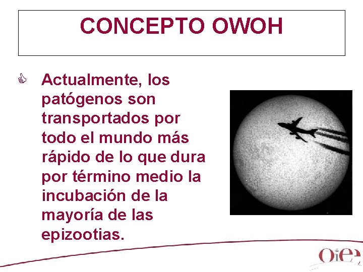 CONCEPTO OWOH C Actualmente, los patógenos son transportados por todo el mundo más rápido