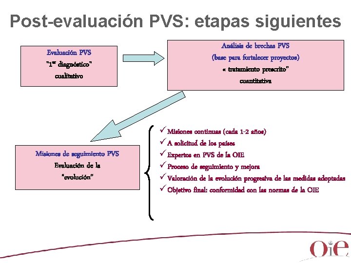 Post-evaluación PVS: etapas siguientes Evaluación PVS "1 er diagnóstico" cualitativo Misiones de seguimiento PVS