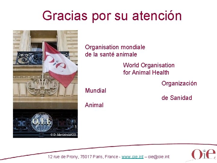 Gracias por su atención Organisation mondiale de la santé animale World Organisation for Animal