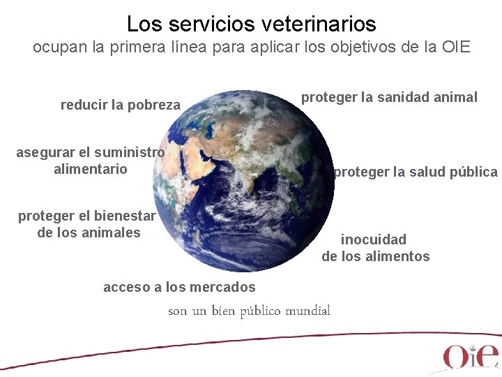 Los servicios veterinarios ocupan la primera línea para aplicar los objetivos de la OIE