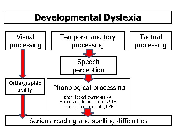 Developmental Dyslexia Visual processing Temporal auditory processing Tactual processing Speech perception Orthographic ability Phonological