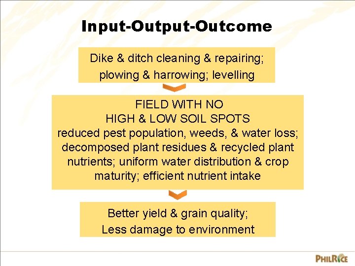 Input-Outcome Dike & ditch cleaning & repairing; plowing & harrowing; levelling FIELD WITH NO