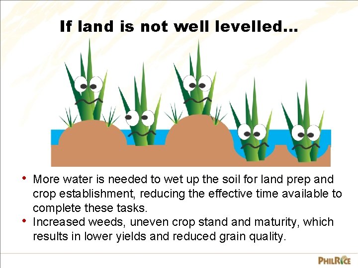 If land is not well levelled. . . • More water is needed to