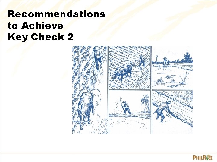 Recommendations to Achieve Key Check 2 