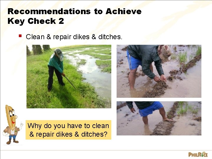 Recommendations to Achieve Key Check 2 § Clean & repair dikes & ditches. Why