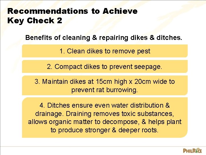 Recommendations to Achieve Key Check 2 Benefits of cleaning & repairing dikes & ditches.