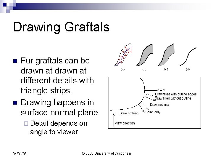 Drawing Graftals n n Fur graftals can be drawn at different details with triangle