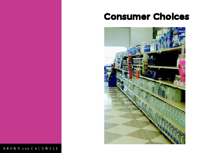 Consumer Choices 