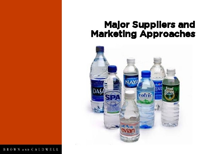 Major Suppliers and Marketing Approaches 