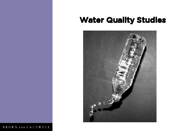 Water Quality Studies 