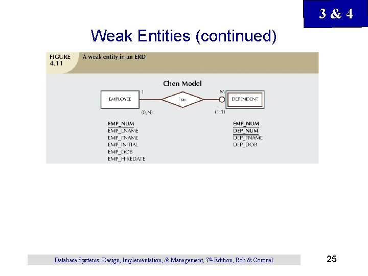 3&4 Weak Entities (continued) Database Systems: Design, Implementation, & Management, 7 th Edition, Rob