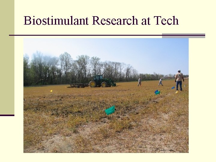 Biostimulant Research at Tech 